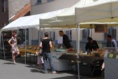 Photo 124 - Ducasse de Molenbaix