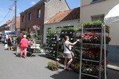 Photo 125 - Ducasse de Molenbaix
