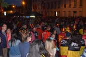Photo 38 - Belgique - Hongrie sur écran géant