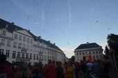 Photo 21 - Belgique - Suède - Euro 2016 sur écran Géant