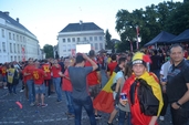 Photo 22 - Belgique - Suède - Euro 2016 sur écran Géant