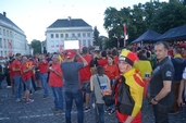 Photo 23 - Belgique - Suède - Euro 2016 sur écran Géant