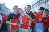 Photo 24 - Belgique - Suède - Euro 2016 sur écran Géant