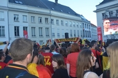 Photo 35 - Belgique - Suède - Euro 2016 sur écran Géant