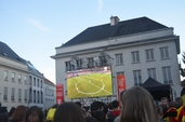 Photo 37 - Belgique - Suède - Euro 2016 sur écran Géant