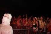 Photo 834 - So w'happy festival 2016 - Partie 2