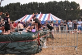 Photo 28 - Velaines festival suite