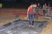 Photo 82 - Velaines festival suite