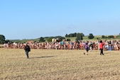 Photo 195 - Week-end Molenbaix samedi Montgolfiere partie 1