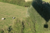 Photo 379 - Week-end Molenbaix samedi Montgolfiere partie 1