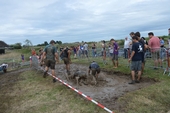 Photo 270 - Week-end Molenbaix dimanche partie 2