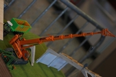 Photo 2 - Ducas mini agriculture