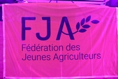 Photo 1 - Fja Halloween