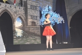 Photo 6 - Election de Miss Tournai 2019