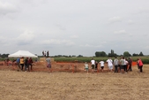 Photo 9 - Gymkhana de Molenbaix - samedi