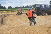 Photo 43 - Mini Bike