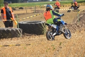 Photo 63 - Mini Bike
