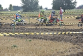 Photo 67 - Mini Bike