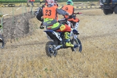 Photo 84 - Mini Bike