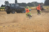 Photo 113 - Mini Bike