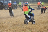 Photo 129 - Mini Bike