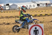 Photo 190 - Mini Bike