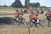 Photo 196 - Mini Bike
