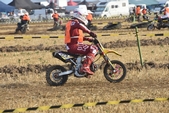 Photo 202 - Mini Bike