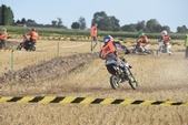 Photo 204 - Mini Bike