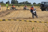 Photo 211 - Mini Bike