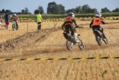 Photo 217 - Mini Bike
