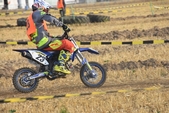 Photo 229 - Mini Bike