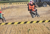 Photo 231 - Mini Bike