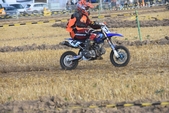Photo 239 - Mini Bike