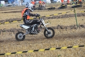Photo 240 - Mini Bike
