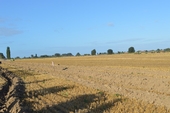 Photo 5 - Auto Cross - dimanche