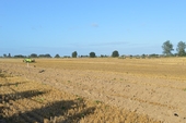 Photo 6 - Auto Cross - dimanche