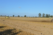Photo 9 - Auto Cross - dimanche