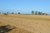 Photo 15 - Auto Cross - dimanche