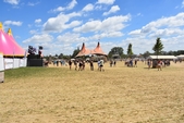 Photo 5 - So W'Happy Festival - Dimanche
