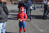 Photo 7 - Carnavo