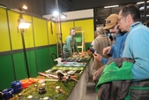Photo 2 - Bel Habitat