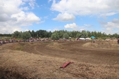 Photo 4 - Moiss Batt Cross