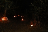 Photo 4 - Patr Halloween