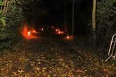 Photo 8 - Patr Halloween