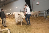 Photo 5 - Salon Agriday S - Samedi