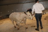 Photo 7 - Salon Agriday S - Samedi
