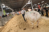 Photo 8 - Salon Agriday S - Samedi