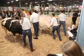 Photo 9 - Salon Agriday S - Samedi