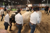 Photo 10 - Salon Agriday S - Samedi